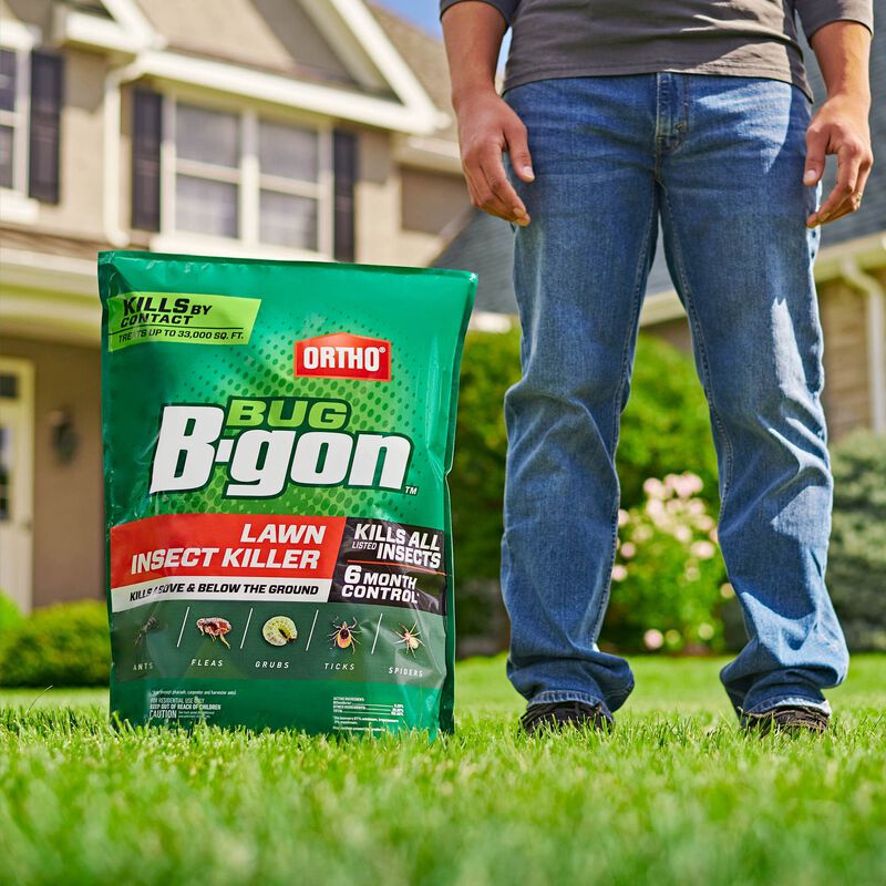 Ortho Bug BGon Lawn Insect Killer Ortho