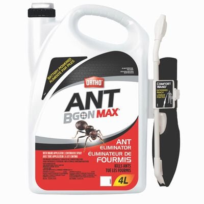 'Ortho® Ant B Gon® Max éliminateur de fourmis prêt à l'emploi