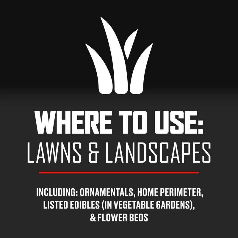 Ortho® Bugclear™ Lawn Insect Killer₁ image number null