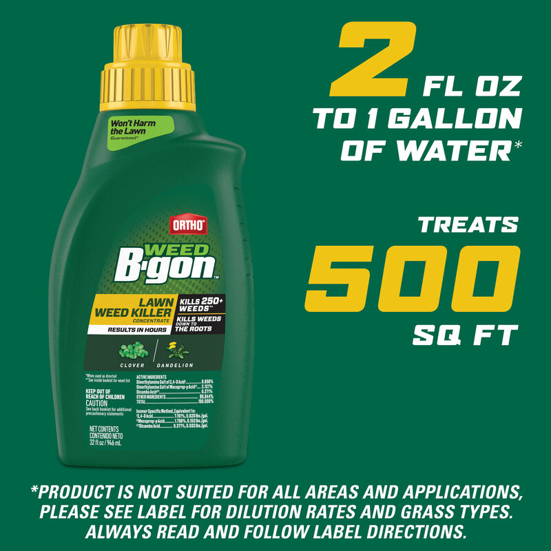 Ortho Weed BGon Lawn Weed Killer Ortho
