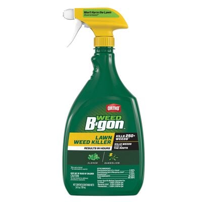 Ortho® Weed B-Gon™ Lawn Weed Killer Ready-To-Use