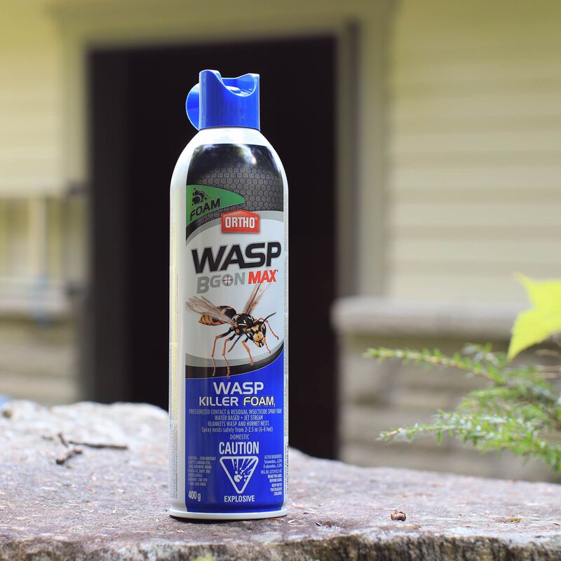 Ortho® Wasp B Gon® MAX Wasp Killer Foam   image number null