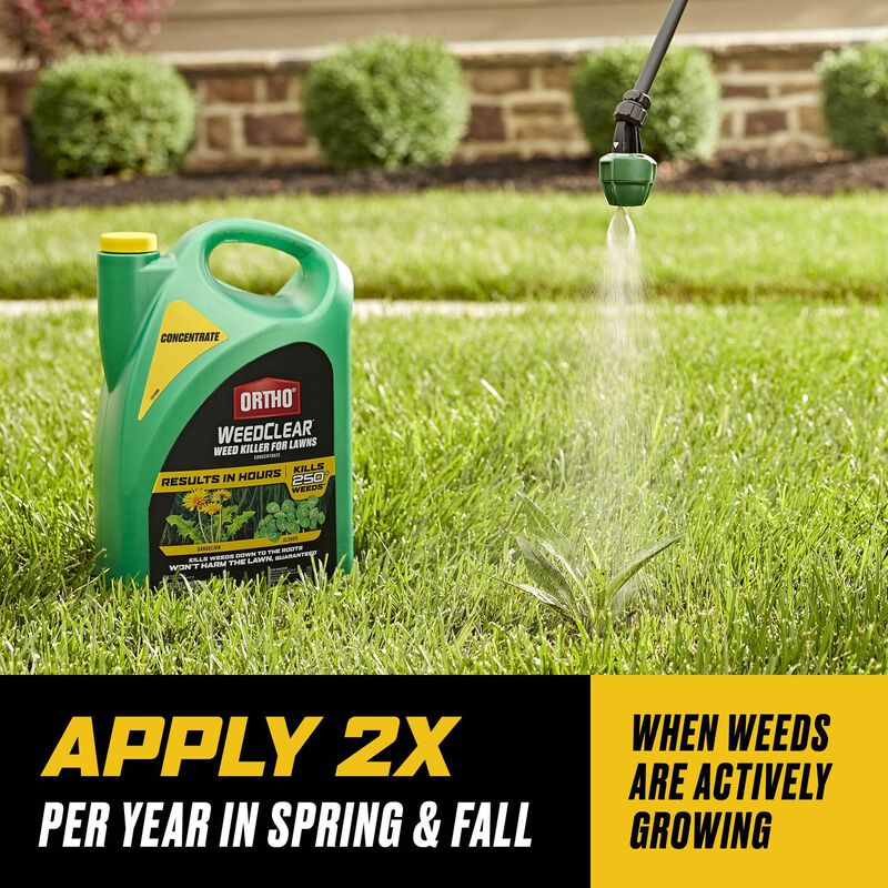 Ortho® WeedClear™ Weed Killer for Lawns Concentrate image number null