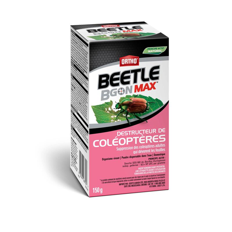 Ortho® Beetle B Gon® MAX Destructeur de coléoptères image number null