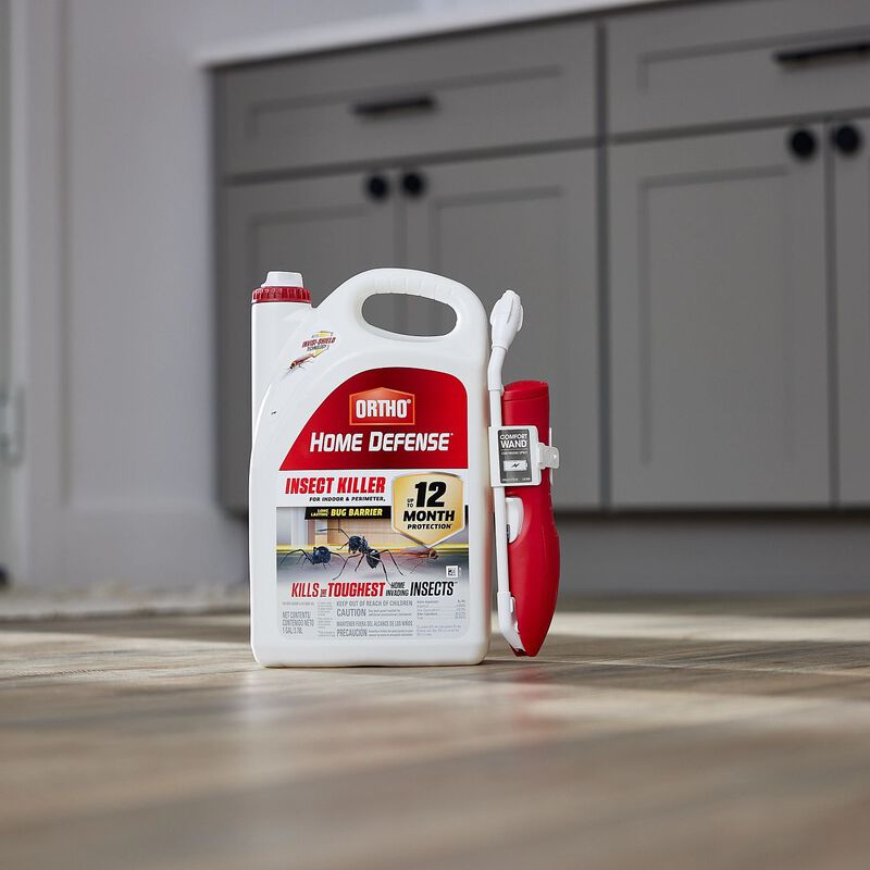 Ortho Home Defense Insect Killer for Indoor & Perimeter Ortho
