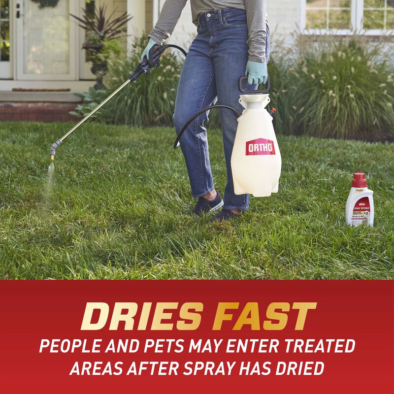 Ortho® Home Defense® Insect Killer for Indoor & Perimeter Concentrate image number null