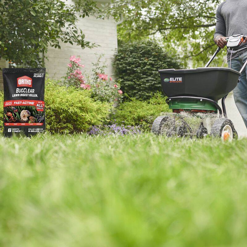 Ortho Bugclear Lawn Insect Killer1 Ortho