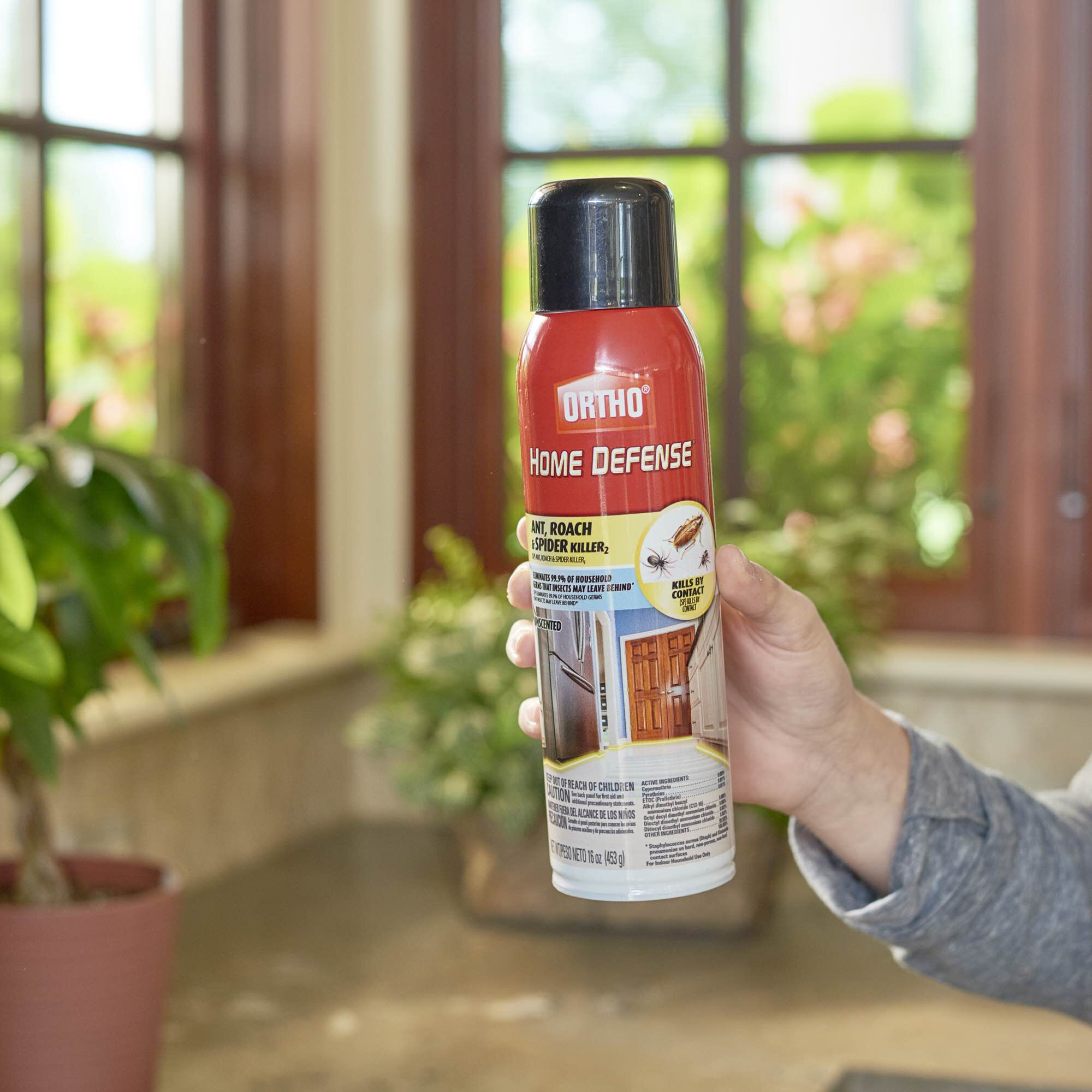 Ortho Home Defense Ant Roach Spider Killer
