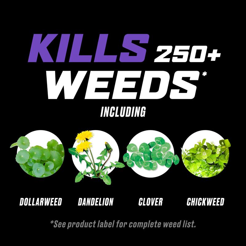 Ortho® WeedClear™ Lawn Weed Killer Ready-to-Use₁ (South) image number null
