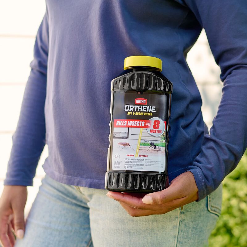 Ortho® Orthene® Ant & Roach Killer image number null
