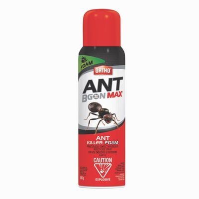 Ortho® Ant B Gon® MAX Ant Killer Foam