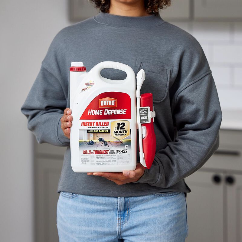 Ortho Home Defense Insect Killer for Indoor & Perimeter Ortho