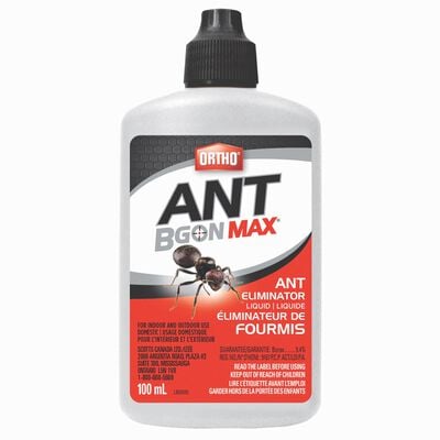 Éliminateur de fourmis liquide Ortho® Ant B Gon® MAX