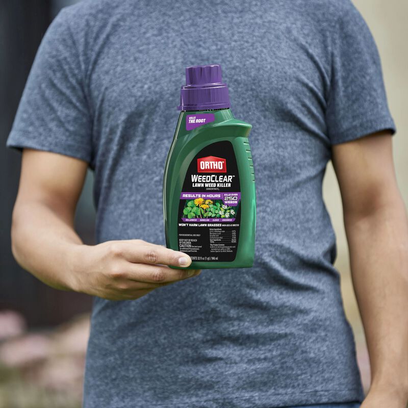 Ortho® WeedClear™ Lawn Weed Killer Concentrate₂ (South) image number null