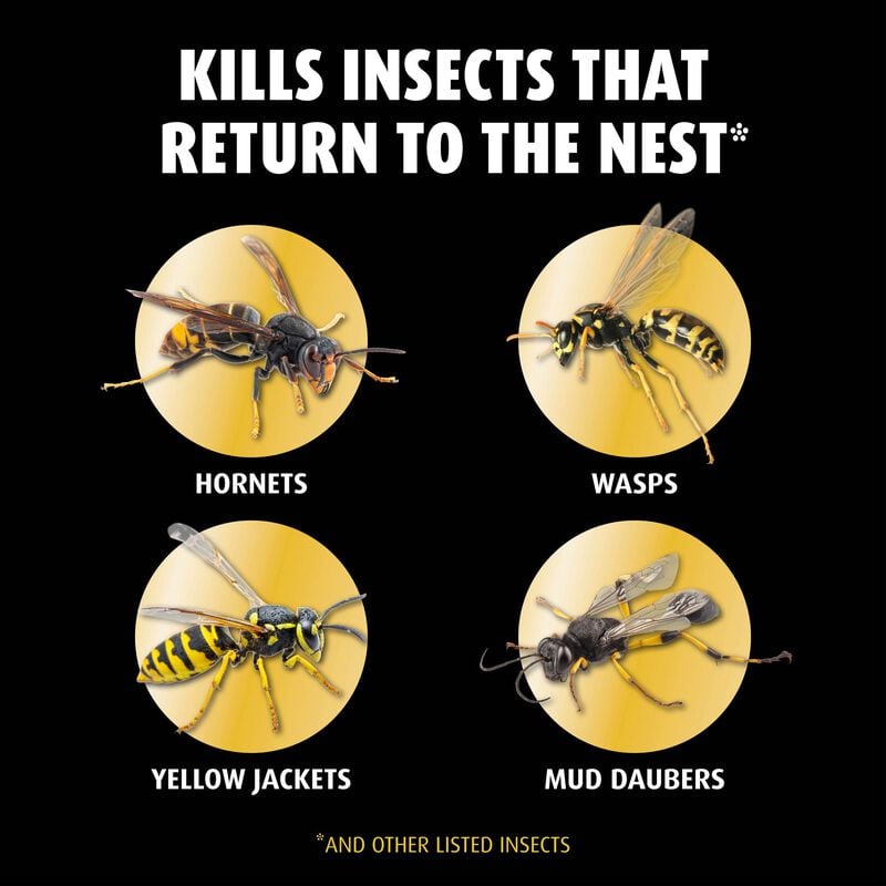 Ortho® Home Defense® Hornet & Wasp Killer7 image number null