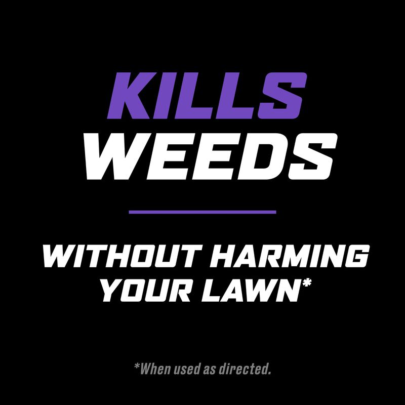 Ortho® WeedClear™ Lawn Weed Killer Ready-to-Use₁ (South) image number null