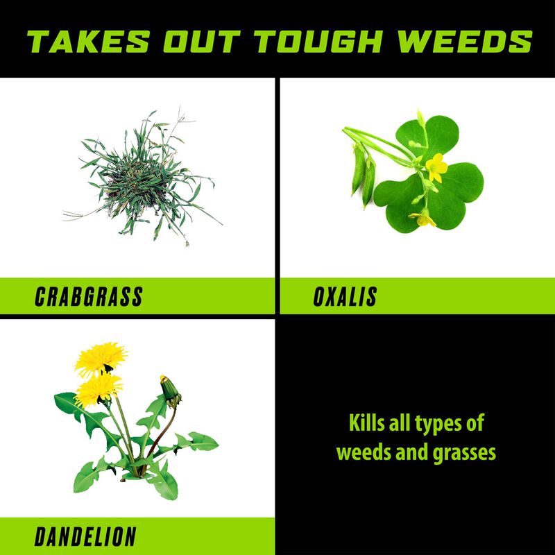 Ortho® Groundclear® Weed & Grass Killer Ready-to-Use image number null