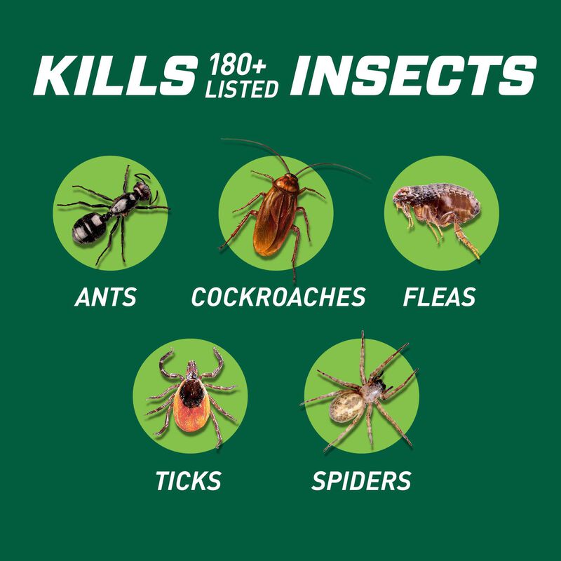 Ortho® Bug B-Gon™ Insect Killer for Indoor + Perimeter1 with Comfort Wand image number null