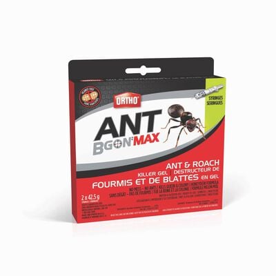 Destructeur De Fourmis Et De Blattes en gel Ortho® Ant B Gon® MAX