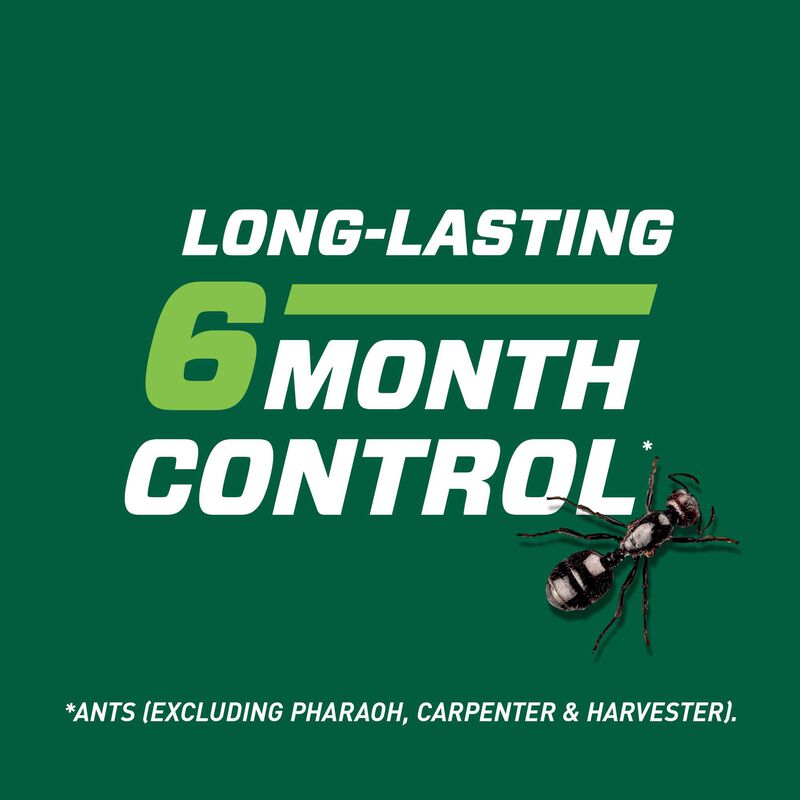 Ortho Bug BGon Lawn Insect Killer Ortho