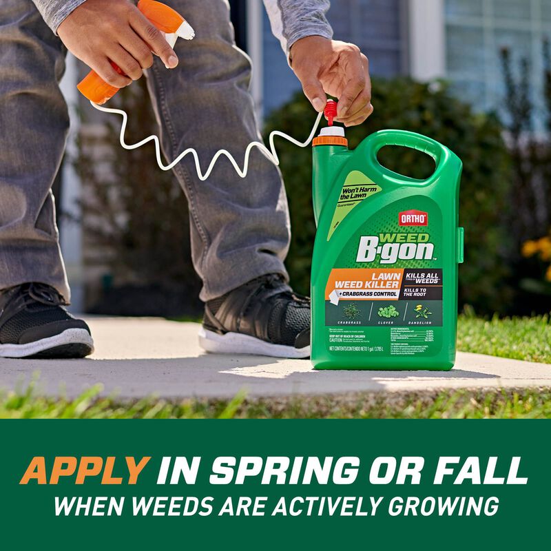 Ortho Weed BGon Lawn Weed Killer + Crabgrass Control Ortho