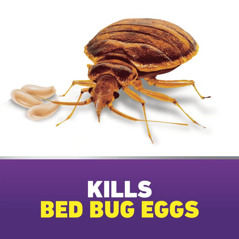 Ortho® Home Defense® MAX® Bed Bug Killer image number null