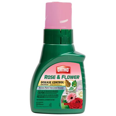 Ortho® Rose & Flower Disease Control Concentrate